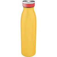 Waterfles geïsoleerd  Cosy - 500 ml - Leitz